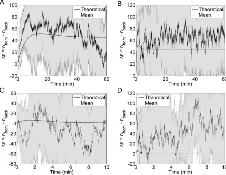 Fig 9. Transient Difference in Receptor Occupancy. Simulation results for the difference in receptor occupancy, Δn, between the front and back halves of a cell in a developing pheromone gradient of 0.1 nM/μm