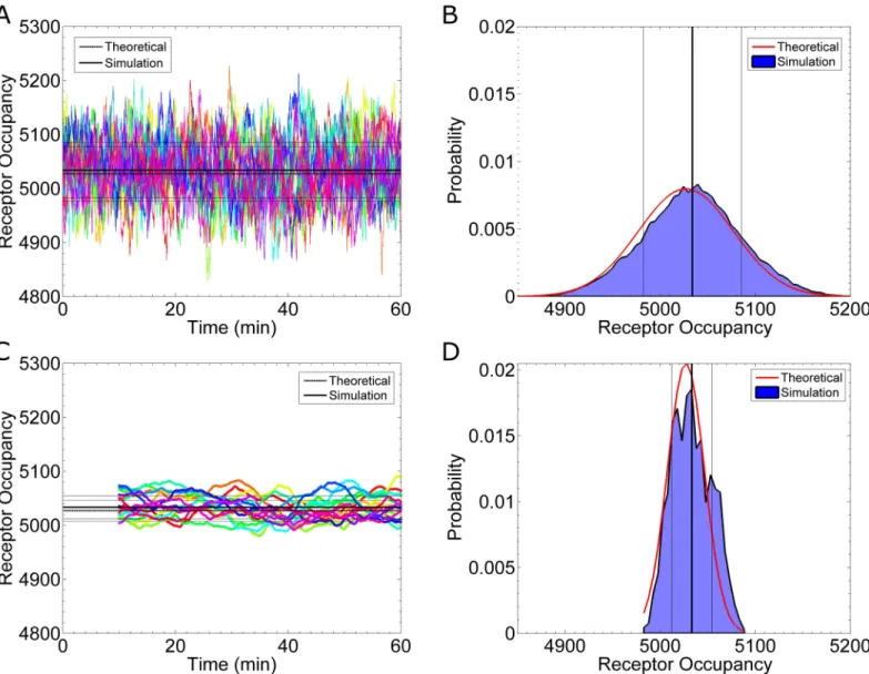 Fig 2. Receptor Occupancy at Equilibrium. (A) Simulation results for the number of active receptors as a function of time