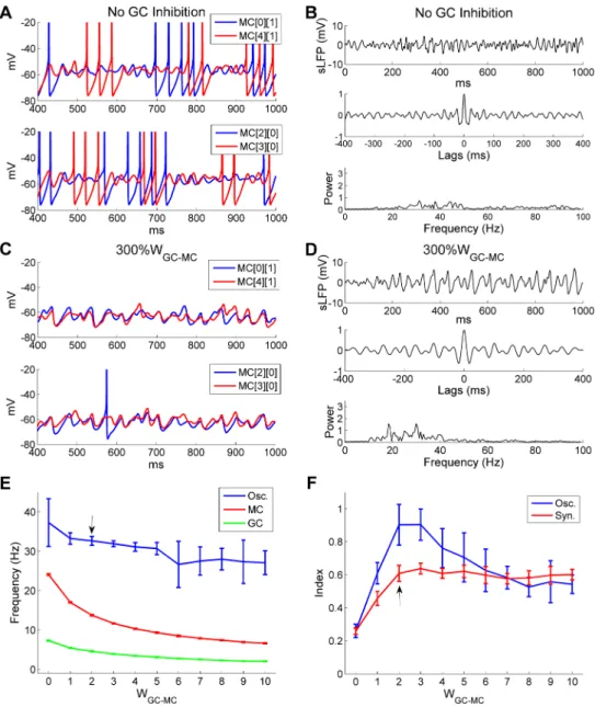 Fig 9. There is an optimal GC!MC synaptic strength for strong and coherent OB gamma oscillation.