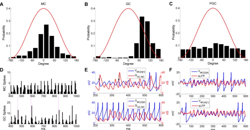 Fig 3. MC and GC spikes, but not PGC spikes, are phase-constrained within common gamma cycles