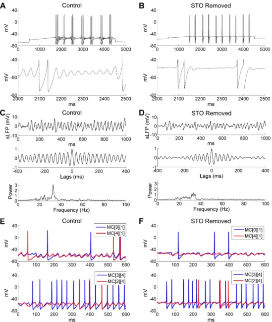 Fig 5. Removing MC STOs impairs OB gamma oscillations. A: Voltage response of an isolated MC model cell to a 0.2 nA current injection (top) and an expanded view of the STOs (bottom) under control conditions