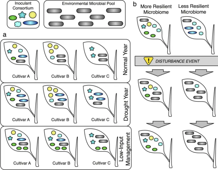 Fig 2. Outcomes of inoculation with a microbial consortium. (A) Illustration of varying outcomes of inoculating with a five-member consortium (colored non-rod shapes) in the presence of a diverse environmental microbial pool (gray rod shapes)