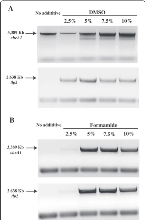 Figure 2 PCR yield enhancing effect of BSA as used as a co-additive with organic solvents