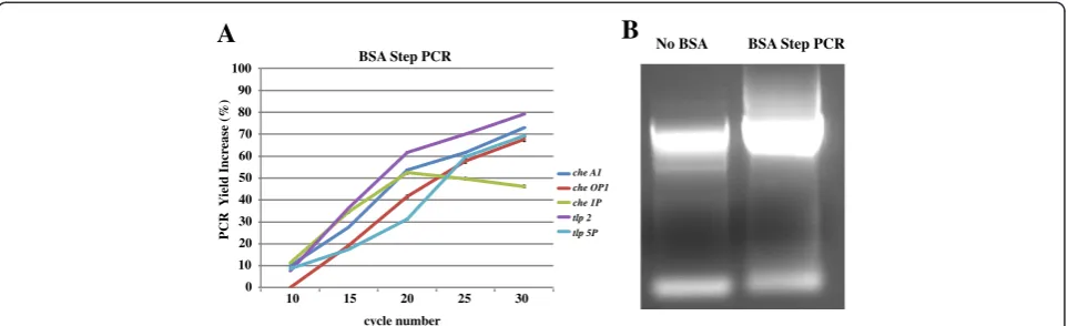 Figure 4 Effect of BSA as a co-additive with organic solvents when supplemented at intermediate steps of PCR