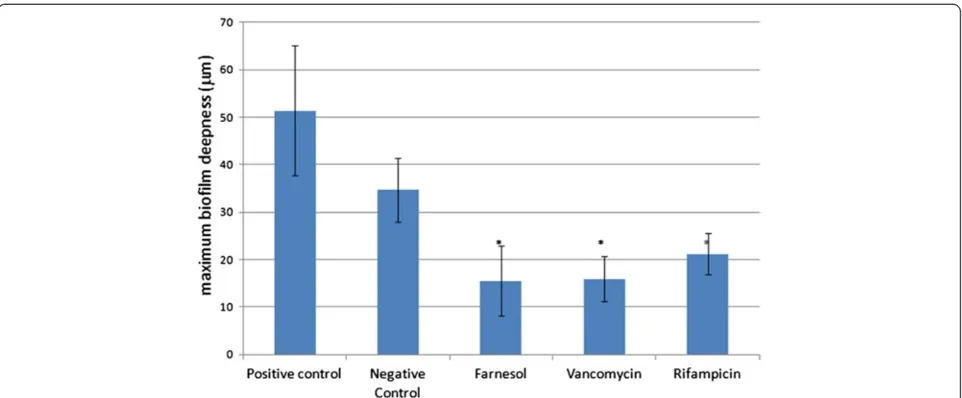 Figure 3 Effect of farnesol and antibiotics on biofilms maximum depth. * statistically different as compared with the control (p < 0.05).