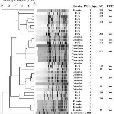 FIG. 1. Molecular typing of VR E. faeciumDice coefﬁcient and UPGMA clustering; the band tolerance was set at 1.5%, and the threshold cutoff value was set at 85%
