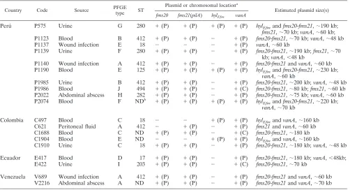 FIG. 2. Frequency of detection of putative virulence genes in 35 VR E. faecium isolates from the Andean region of South America