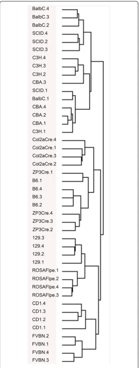 Figure 6 Mouse strain gene ontology relationships for 11strains based on microarray based differential gene expressionanalysis of eviscerated embryos at E12.5