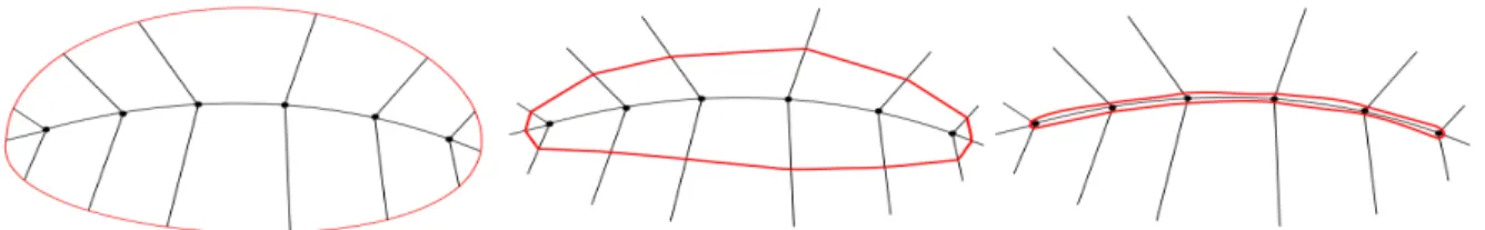 Figure 3.2: A 2D s-rep model showing the surface given at τ values of 1 (left), 0.5 (middle), and 0 (right)