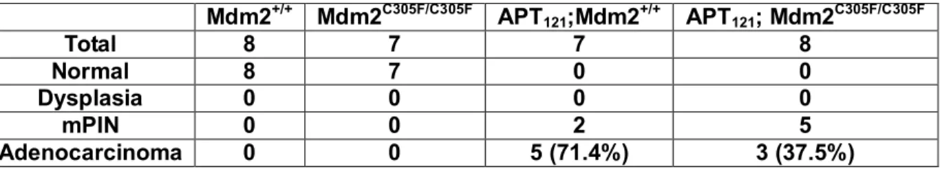 Table  3.  Summary  of  prostate  tumor  stages  in  6  month-old  Mdm2 +/+ ,  Mdm2 C305F/C305F