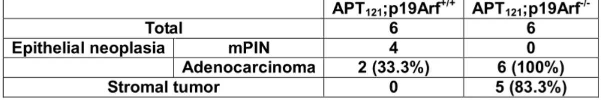 Table  4.  Summary  of  prostate  tumor  stages  in  5  month-old  APT 121 ;p19Arf +/+   and  APT 121 ;p19Arf -/-  mice