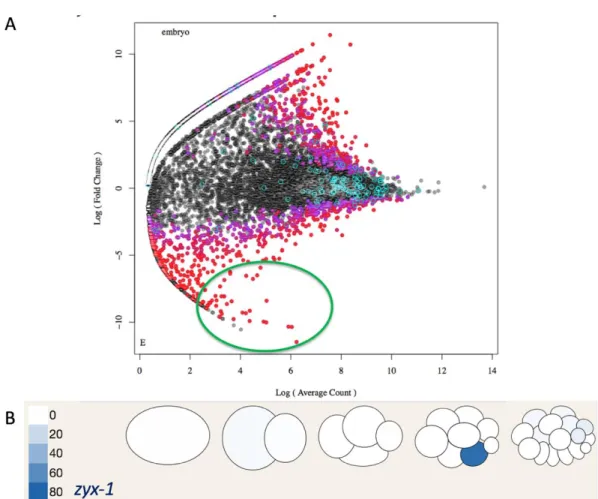 Figure 5. Choosing candidates based on expression profile in the early embryo. 