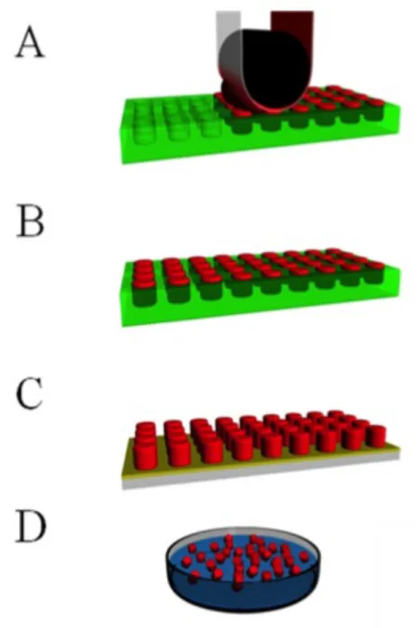 Figure 1.5:  A general schematic representation of the PRINT process.  (A) A pre-particle  solution (red) is distributed evenly in the elastomeric mold (green) by a roller (black) with a  high  surface  energy  polymer  sheet,  which  wicks  away  excess  