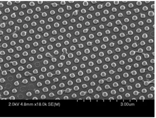 Figure  1.7  Scanning  electron  micrograph  of  200  x  200  nm  cylindrical  particles  on  a  harvesting layer of PET