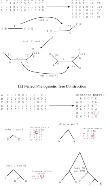 Figure 2.3: Construction of perfect phylogeny (a) and neighbor-joining (b) trees. Perfect phylogeny trees are constructed from a set of SNPs admitting a perfect phylogeny by partitioning the samples into subtrees/leaves strictly according the the distribut