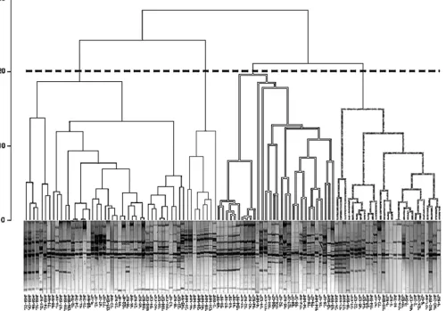 TABLE 2. Concomitant chronic bacterial ﬂora proﬁles