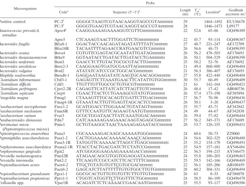 TABLE 2. Oligonucleotide probes used to identify anaerobic bacteria