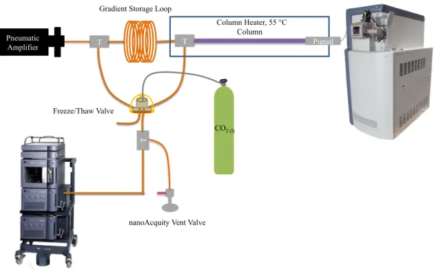 Figure 1-5. Schematic of the gradient UHPLC system used for capillary LC-MS analysis. This figure  was used with permission from the author