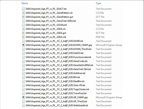Figure 4 Examples of output results files.automatically embedded in the names of output files