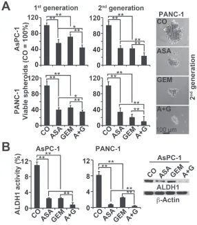 Figure 3: Aspirin inhibits spheroid formation and ALDH1 activity and enhances gemcitabine efficacy