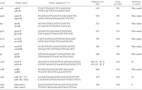 TABLE 1. Nucleotide sequences of the oligonucleotide primers used in the studya