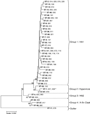 FIG. 2. Neighbor-joining tree constructed using the concatenated sequences (3,501 nucleotides) of the seven loci used in MLST