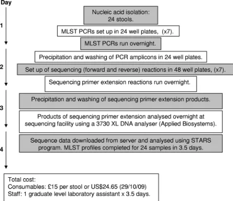 TABLE 3. MLST of C. difﬁcile from ELISA-negative stool samples determined both directly using total stool DNA andusing isolates cultured from the same stools