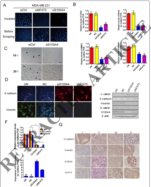 Figure 3 (See legend on next page.)