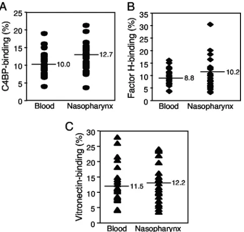 FIG. 3. Both blood-derived and nasopharyngeal NTHi isolatesbind complement regulators