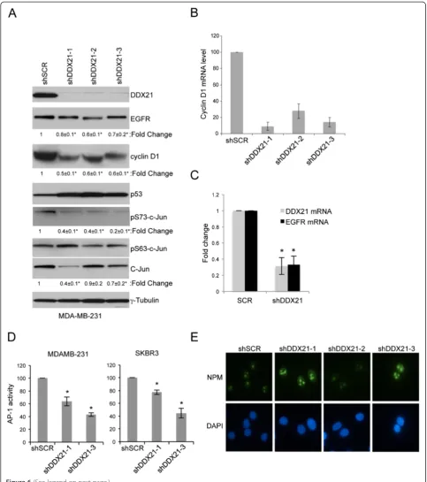 Figure 6 (See legend on next page.)