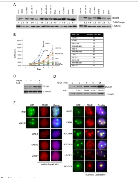 Figure 2 (See legend on next page.)