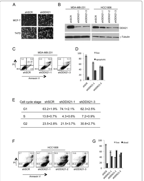 Figure 3 (See legend on next page.)