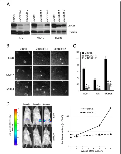 Figure 4 (See legend on next page.)