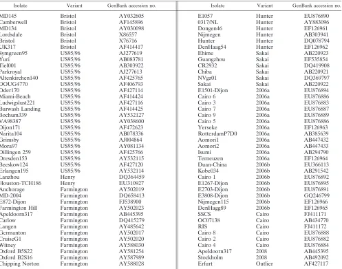 TABLE 2. GGII.4 isolates from GenBank used for the analysis