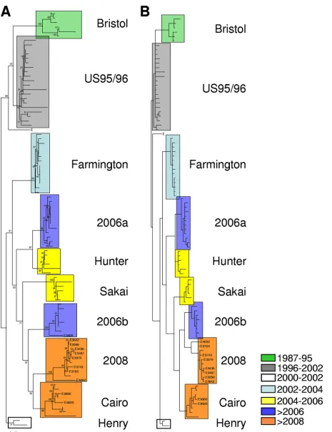 FIG. 2. Phylogenetic analysis of the amino acid sequences corresponding to the entire ORF2 of representative GGII.4 NoVs from GenBank 82) and this study (n 10)