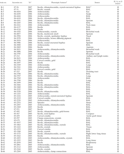 TABLE 1. Strains used in this study