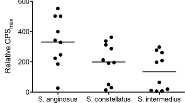 TABLE 1. Phenotypic differentiation of the S. milleri isolates used in this study