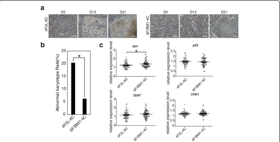 Fig. 5 Safety comparison between 6F/BM1-4C and a traditional episomal induction system.* a Changes in morphology in the iPSC generation processusing the 4F2L-6C and 6F/BM1-4C systems