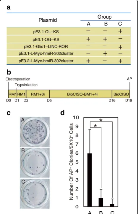 Fig. 1 Screening low-risk factors for iPSC generation. a Screening strategyfor the optimal plasmid combination