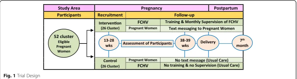 Fig. 1 Trial Design