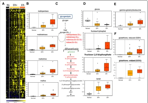 Figure 2 Supervised analysis of metabolites by estrogen receptor (ER) status. (A)found
