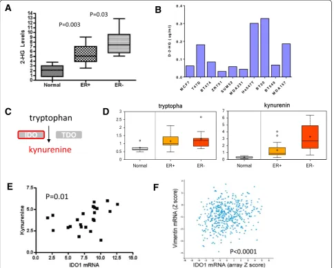 Figure 4 Specific metabolic/genetic associations. (A)(ER) + and 9 ER- tumors. The mean level of 2-hydroxyglutarate (2-HG) in 5 normal tissues, 16 estrogen receptor (B) The level of 2-HG in breast cancer cell lines (4 luminal type and 5 basal type cells)