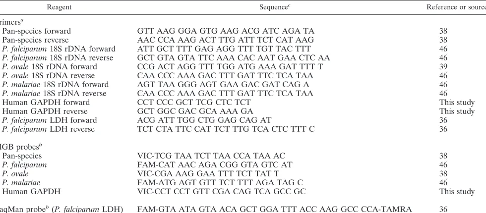 TABLE 1. Primer and probe sequences