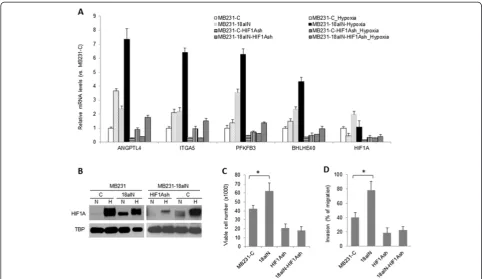 Figure 7 HIF1Afactor knockdown abolished the effect of microRNA-18a on cell metastatic properties