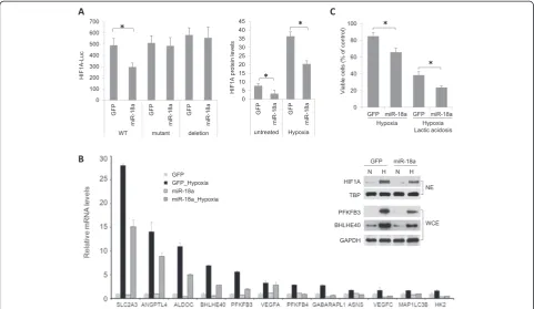 Figure 4 Effects of microRNA-18a on hypoxia-inducible factor 1α expression and hypoxic response
