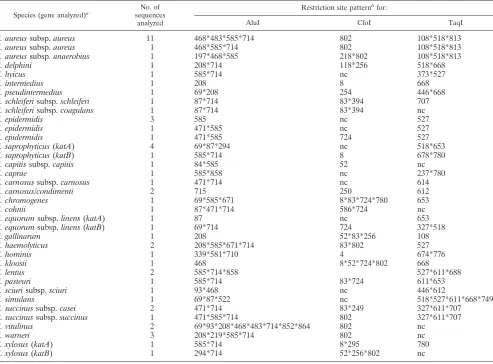 TABLE 2. Positions of restriction sites of the AluI, CfoI, and TaqI endonucleases on the sequenced 900-bp kat fragmentsfrom staphylococci analyzed in this study