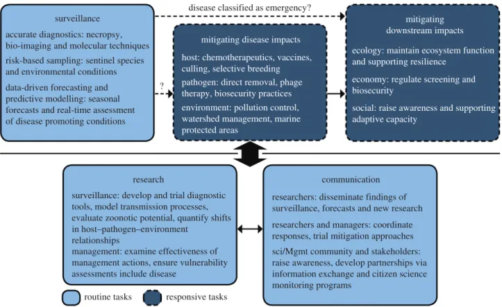 Figure 2. A framework for adaptively managing marine disease emergencies. Routine disease surveillance enables early detection of more diseases