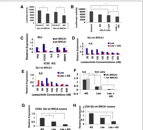 Figure 6 AG14361 inhibits NF-κB activity and downregulates the levels of expression of NF-κB downstream genes