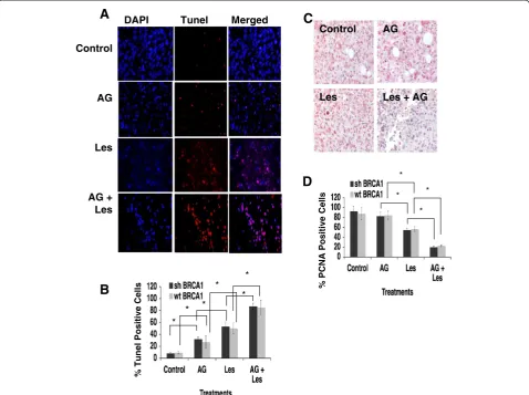 Figure 4 Analysis of tumors treated with AG14361 and lestaurtinib as mono-treatment and combination therapy