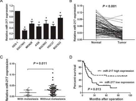 Figure 1: miR-217 is significantly down-regulated in gastric cancer cell lines and tissues
